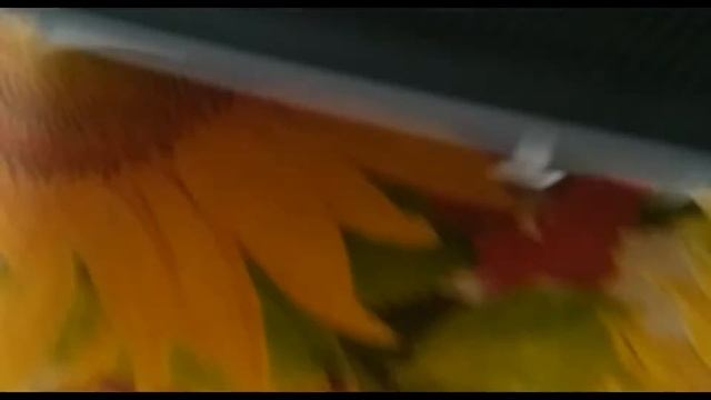 Как обогреть птицу в теплице зимой