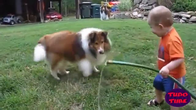 Прикольные животные 9 смотреть онлайн