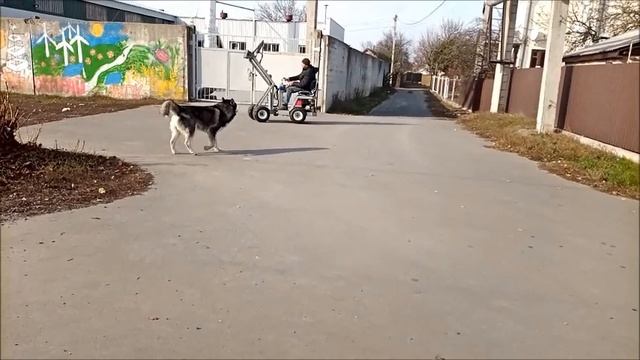 Покатушки на Мини поргузчике з сыном Балуемся смотреть онлайн