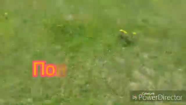 Чем можно заняться летом на улице💓💟 смотреть онлайн