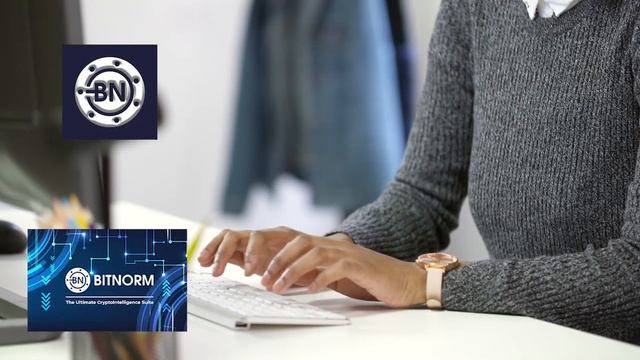 BitNorm is the best and success project in future смотреть онлайн