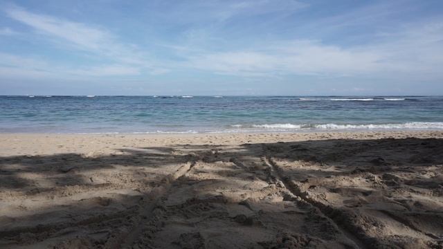 Relaxing Beach Views, Playa Dorada, Dominican Republic смотреть онлайн