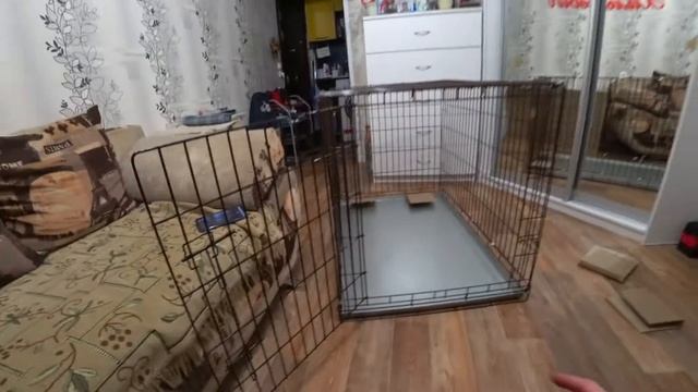 Клетка для собак. Воспитание щенка: С ЧЕГО НАЧАТЬ? смотреть онлайн