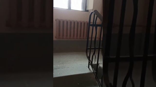 Вид на Казанский Собор смотреть онлайн