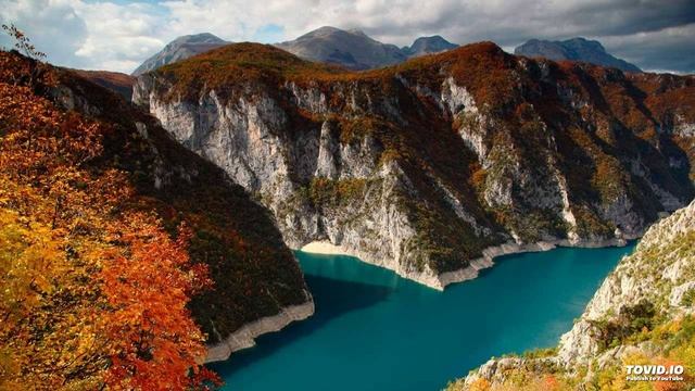 12. Аудио урок для взрослых дифференциация звук Р - Л. смотреть онлайн