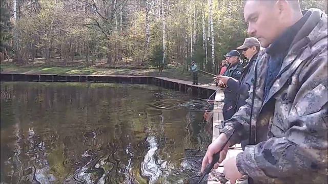 Поимки форели до запуска и после. Спорт-зона. Клёвое место Лосиный остров. смотреть онлайн