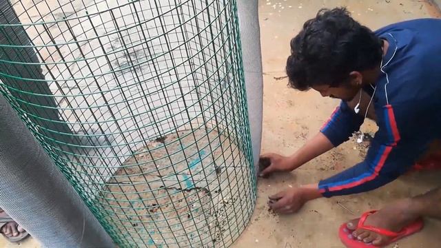 English: How to make a DIY (Do it yourself) Leaf Composter - Soil and Health in English смотреть онлайн