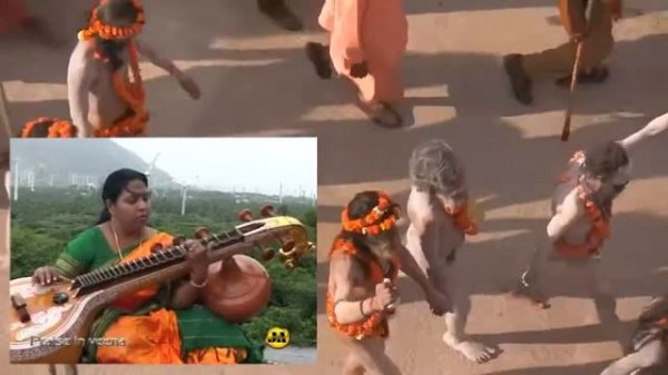 Veena Игра на вине