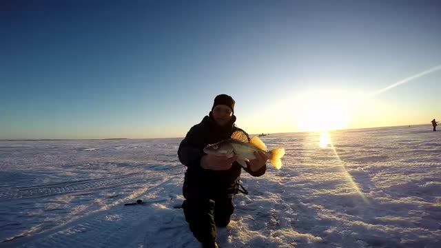 За судаком. Рыбалка в Камском устье. смотреть онлайн