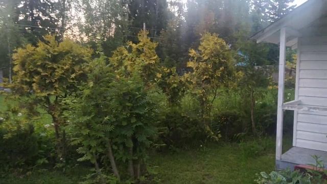 Дача, экскурсия 2021 год часть 2 смотреть онлайн
