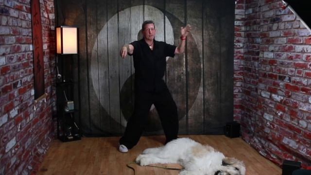 Your Time Will Come (More Than Once) | The Thursday Morning Flow Show смотреть онлайн
