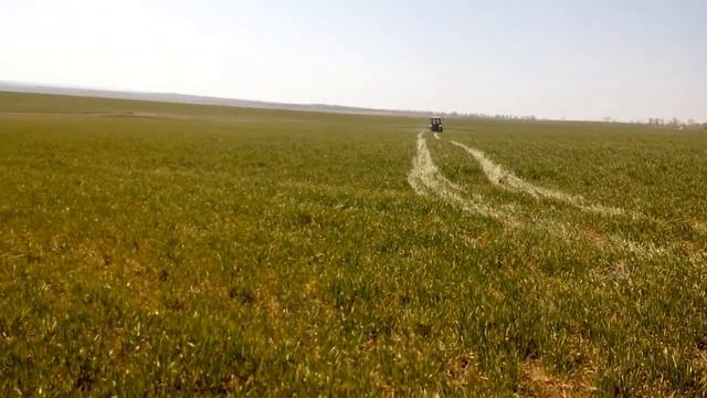 Снятие стресса - опрыскивание озимой пшеницы аминокислотами, карбамидом и сульфатом магния смотреть онлайн