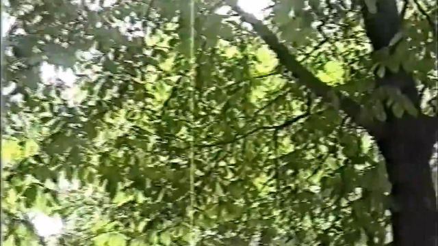 +Я живу на Воронежской земле смотреть онлайн
