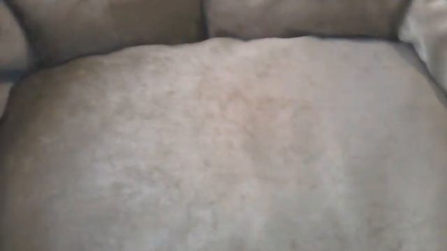 #117#МК Лежанка для животных.Готовое изделие.Ч.3 смотреть онлайн