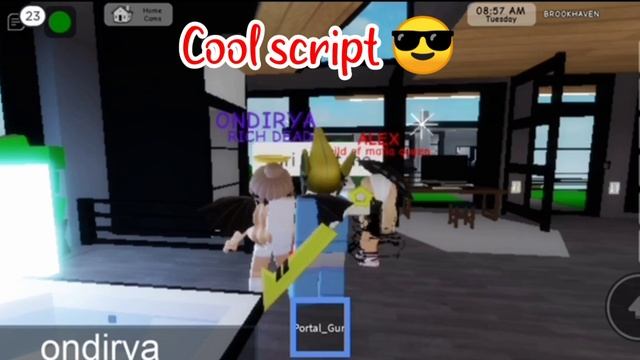 ROBLOX PORTAL GUN V2 SCRIPT using FLUXUS EXECUTOR played at BROOKHAVEN - script link on comments смотреть онлайн