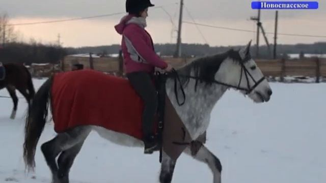 Матвей Ивлев