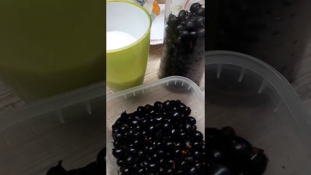 Замораживаю смородину на зиму. Мой способ заморозки смотреть онлайн