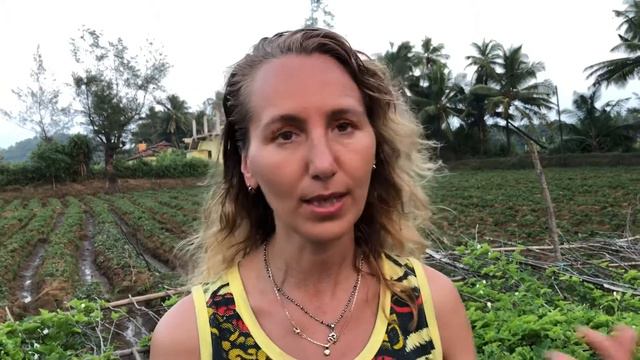 Почему люди не воспринимают меня серьезно. Ответ на вопрос смотреть онлайн