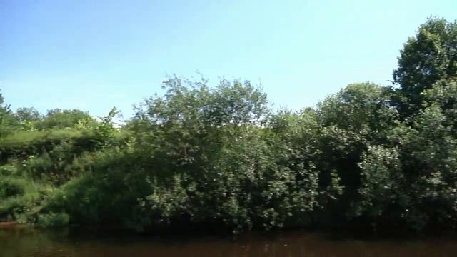 Вниз по течению смотреть онлайн