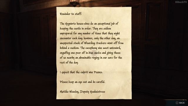 Hogwarts Legacy The Caretaker's Lunar Lament смотреть онлайн