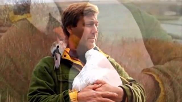 Мужчина спас дикого лебедя, но то что лебедь сделал в ответ невероятно, история растопит ваши сердц смотреть онлайн