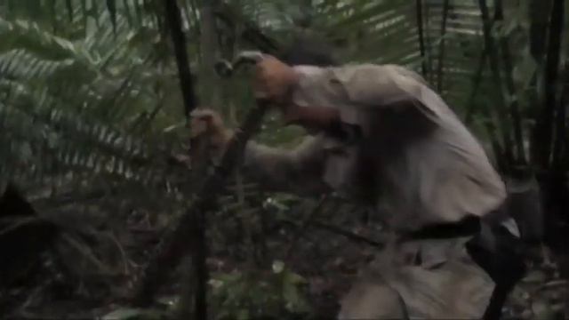 Born Survivor 3 - How to Kill a Snake смотреть онлайн