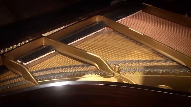 Steinway Model S 5'1" Baby Grand Piano (#305942) смотреть онлайн