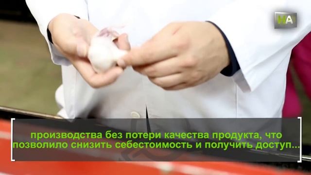 НА Мануэль Вакеро. Производство и экспорт черного чеснока, деликатеса родом из Японии смотреть онлайн