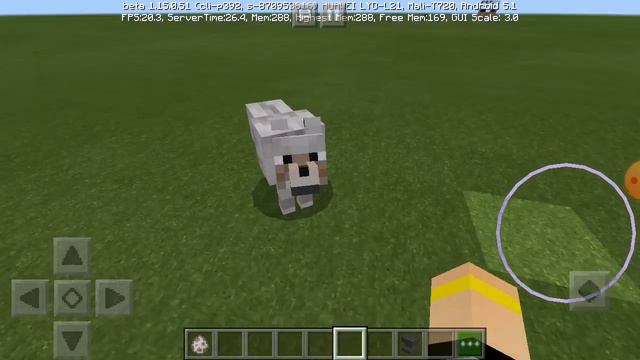 КАК СДЕЛАТЬ ИМЯ СВОЕМУ ПИТОМЦУ ИЛИ ПРОЧЕЕ смотреть онлайн