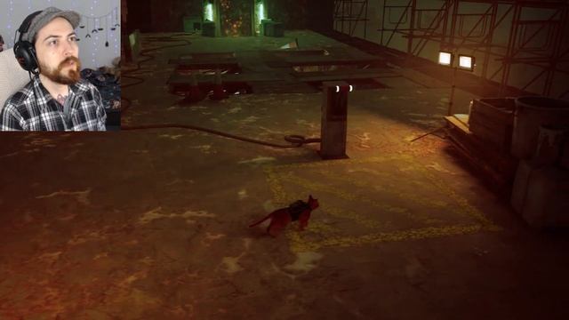 DON'T LET THEM CATCH YOU!! - Lukael Plays: STRAY - Part 3 смотреть онлайн