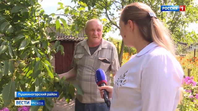 Житель деревни Козляки рассказал, как вырастить в нашем регионе персики и абрикосы смотреть онлайн