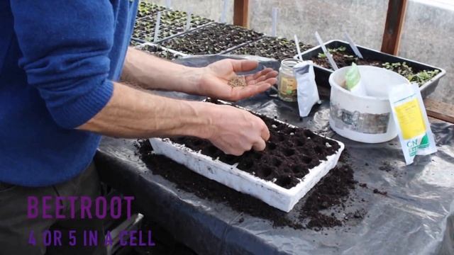 Multisowing modules to save time, compost and greenhouse space смотреть онлайн