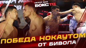 Дмитрий Бивол vs Малик Зинад ОБЗОР БОЯ