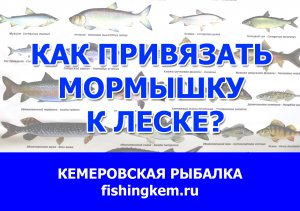Как привязать мормышку к леске? мастер-класс Михаил Беккер 30 марта 2022