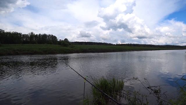 ЛУЧШАЯ РЫБАЛКА В НАЦИОНАЛЬНОМ ПАРКЕ.Рыбалка на Угре.Фидер в ДИКИХ МЕСТАХ. смотреть онлайн