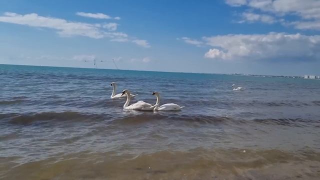 #АНАПА СЕГОДНЯ ЗАГОРАЮТ! НА ПЛЯЖАХ МНОГО ЛЮДЕЙ. НАБЕРЕЖНАЯ ЗАПЕЛА. смотреть онлайн