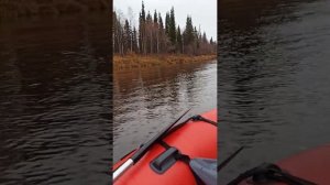 не большой обзор лодки хантер 350 про