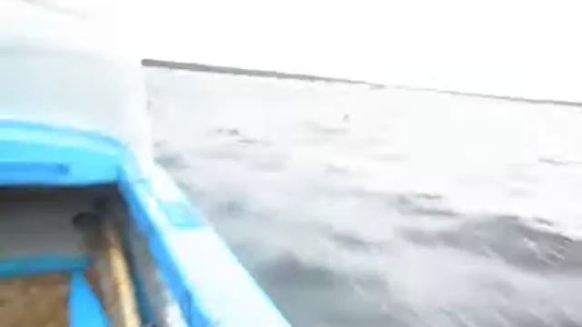 Летняя - Золотица. Высадка.wmv смотреть онлайн