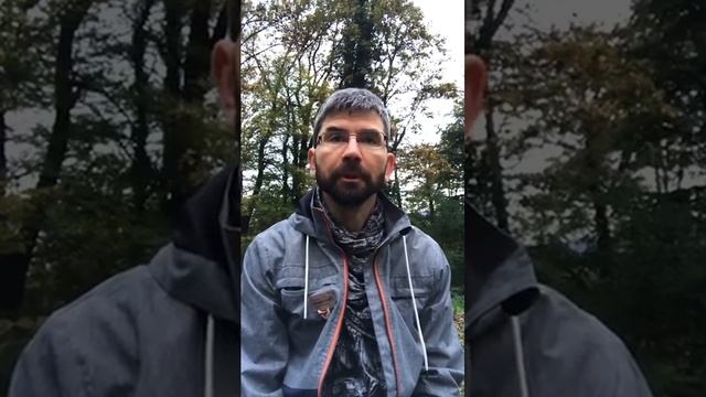 Признание того, что есть. Медитация (4) смотреть онлайн