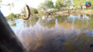 Мормышинг Dayo Hitman 1.98