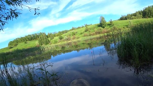 Только начало темнеть и он начал ловиться! Ловля на маховую удочку с поплавком. смотреть онлайн