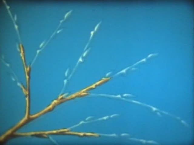 Биология. Строение и жизнедеятельность растений. Побег смотреть онлайн