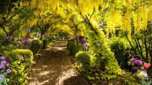 Весна Волшебная Аллея Сказочный Футаж для Ваших Видео / Spring Magic Alley Fabulous Footage