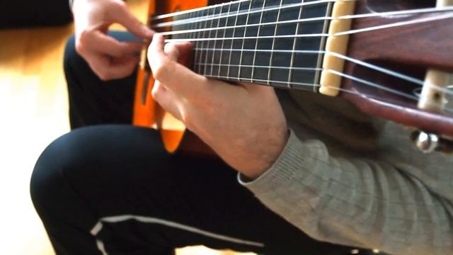 J.P.Rameau-LEgyptiennen. Maxim Lysov 7Strings russian guitar