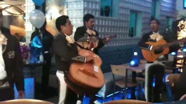 El Gusto Agave Azul смотреть онлайн