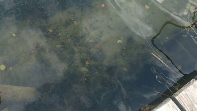 Озеро Извара смотреть онлайн