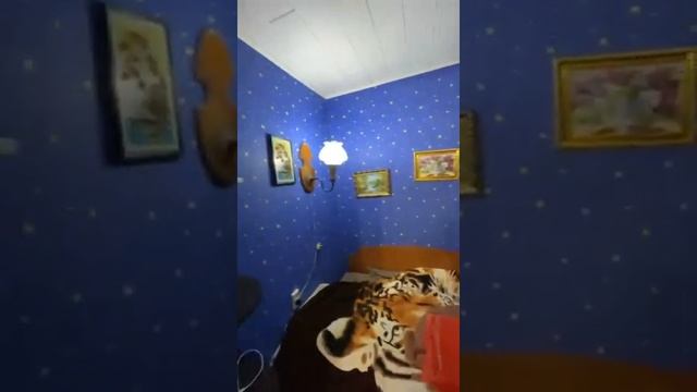 левитана смотреть онлайн