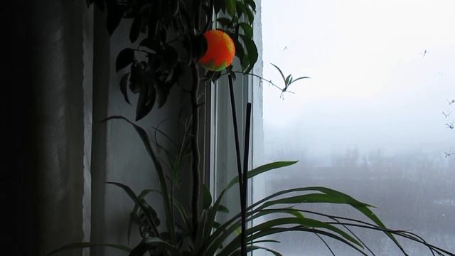 Ручей смотреть онлайн