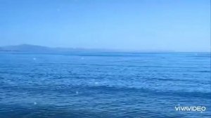 ♥️??  У МЕНЯ ПЕРЕСЫХАЮТ ГУБЫ ОТ ОДНОЙ ЛИШЬ МЫСЛИ О ТЕБЕ... ♥️??