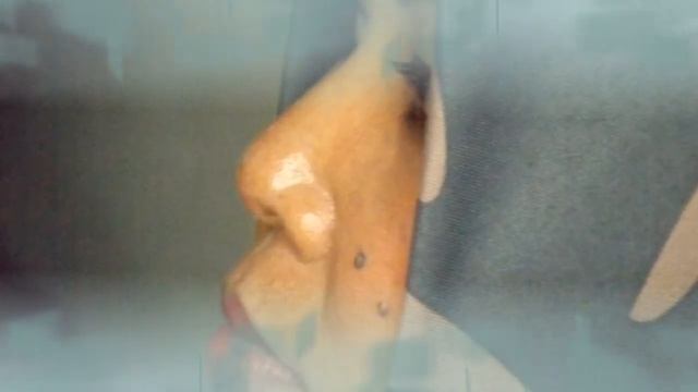 Hasil foto camera fujifilm finepix S4900 35x Zoom смотреть онлайн